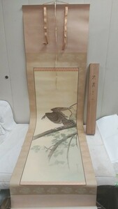 サイン有り 掛け軸【 鷲 鷹　56×210cm 】木箱付 在銘 床の間 日本 美術