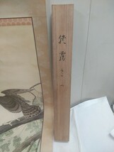 サイン有り 掛け軸【 鷲 鷹　56×210cm 】木箱付 在銘 床の間 日本 美術_画像2