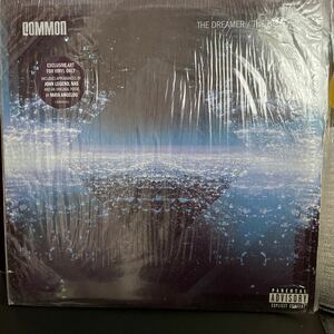 Common/The Dreamer The Believer/LP