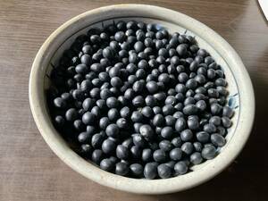 大人気限定:北海道で最も作られている黒大豆「いわいくろ」北海道十勝産　250gX３袋
