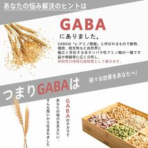 2個セット WELLTIFUL ネルエットD＋ サプリ グリシンクワンソウ 乳酸菌 GABA 配合 120粒30日分 穀物麹 無添加 国内製造_画像4