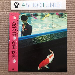 美盤 美ジャケ 近田春夫 Haruo Chikada 1979年 LPレコード 天然の美 Natural Beauty 名盤 国内盤 帯付 J-Rock ハルヲフォン