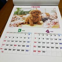 ハッピーフレンズ犬猫2024カレンダー_画像3