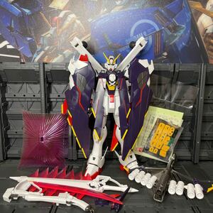 ガンダム ガンプラ MG クロスボーンガンダム X1 フルクロス 現状品