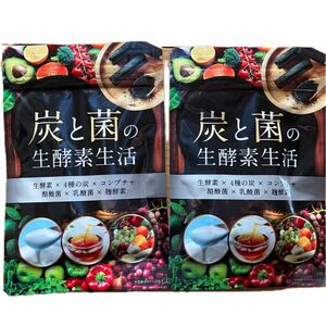 炭と菌の生酵素生活 生酵素 こうじ酵素 コンブチャ 麹酵素 酵素 2袋セット販売