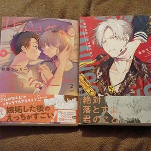 北山くんと南谷くん　2 　砂糖シュガー　恋できないのは君のせい　澄谷ゼニコ　BLコミック　e