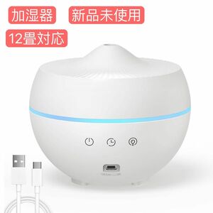 加湿器 アロマ 300ML 卓上 12畳対応 USB-C給電 超音波式 加湿機 空焚き防止 28db静音 省エネ