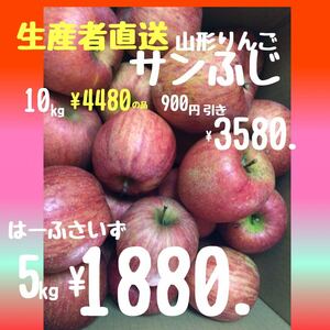年末年始特別販売山形りんごサンふじ5kg中粒中心¥1880.東北から関西まで送料無料　