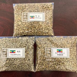 コーヒー生豆　モカ3種各250g