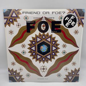 F.O.E/Friends of Earth/Friend or FOE?/レコード/12inch/細野晴臣/