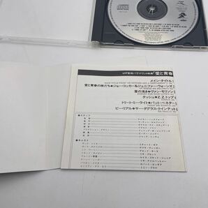 【日本盤】サウンドトラック/愛と青春の旅立ち/An Officer and a Gentleman/CDの画像3