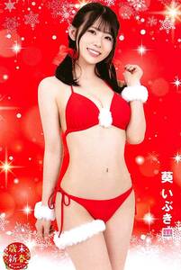 葵いぶき ハガキサイズ ポストカード 写真 クリスマスver. 非売品 クリスマス歳末新春SUPERキャンペーン moodyz セクシー女優 AV女優