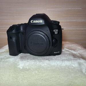 EOS 5D Mark III ボディ その他付属品付き　