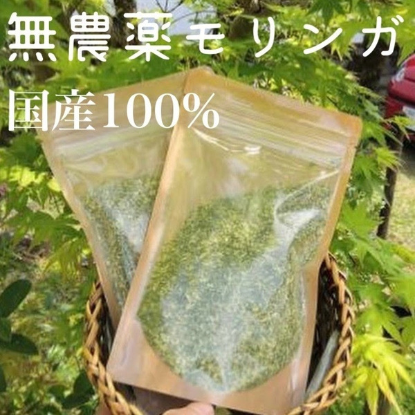 国産ハーブ　モリンガ　無農薬　無添加　宮崎県原産100％　乾燥粉末【 50g × 1袋 】令和5年産　国産 朝摘み スーパーフード　ハーブティー