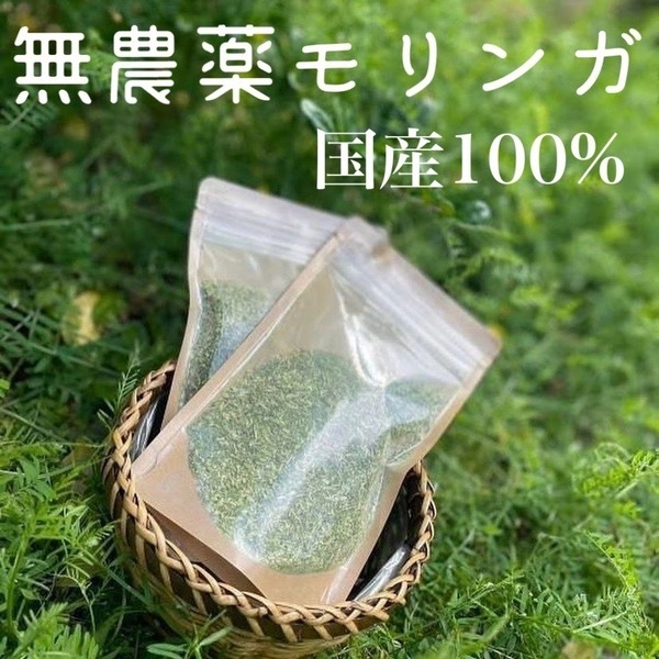 国産ハーブ　モリンガ　無農薬　無添加　宮崎県原産100％　乾燥粉末【 50g × 3袋 】令和5年産　国産 朝摘み スーパーフード　ハーブティー