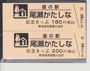 道の駅記念きっぷ　尾瀬かたしな