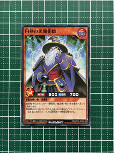 ★遊戯王 ラッシュデュエル メガロードパック２ #RD/MRP2-JP082 円熟の黒魔術師 ノーマル「N」★