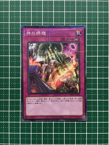 ★遊戯王 TERMINAL WORLD #TW01-JP145 神の摂理 ノーマル「N」パラレル「P」★