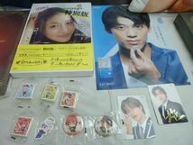 【同梱可】中古品 タレントグッズ 石原さとみ にじさんじ 高橋ヒロム 他 写真集 モチーフガン クッション 等 グッズ_画像4