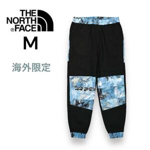 USA限定！新品 THE NORTH FACE ノースフェイス フリースパンツ M スウェットパンツ アウトドア 海外限定 日本未発売 正規品 ブラック