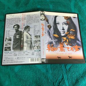 DVD 私が棄てた女 (1969) 浅丘ルリ子小林トシ江河原崎長一郎小沢昭一加藤武岸輝子 加藤治子露口茂辰巳柳太郎黛敏郎山内久遠藤周作浦山桐郎