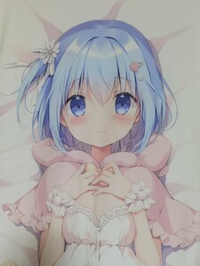 正規品　椎乃ちゃん　抱き枕カバー　 CANVAS+GARDEN　中古　現状品