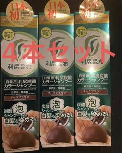 新品　利尻炭酸カラーシャンプー ダークブラウン　180g 白髪染め　ヘアカラー　シャンプー　サスティ　利尻カラーシャンプー　炭酸