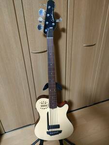 Godin A5 Ultrra （フレットレス加工）