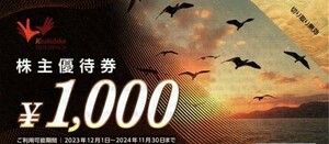 コシダカ　株主優待　優待券　４０００円