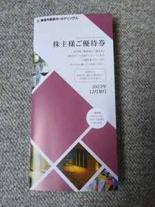 東急不動産ホールディングス　株主優待券　計17枚　2023年12月発行　送料無料