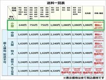 F10048△ エスクード YD/YE 左LEDイルミネーションランプ STANLEY W3149 YD21S/YE21S/YEA1S_画像5