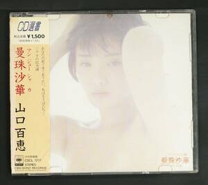 【90年CD】山口百恵/曼珠沙華(並品,CD選書)