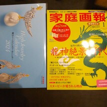 ★送料無料★家庭画報 新春特大号 2024 年1月（本誌のみ）★輝きのハイジュエリーカレンダー2024★_画像1