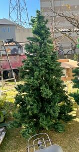 約2メートル プロ仕様 クリスマスツリー 大特価 200cm 定価26,800円
