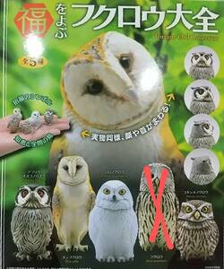 福をよぶフクロウ大全　4種