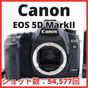 L15/5423-16 / キャノン Canon EOS 5D MarkII ボディ 【ショット数 54,577回】