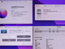 送料無料♪訳有品 Apple Mac Pro Late 2013 ME253J/A Xeon E5-1620 v2 3.7GHz メモリ12GB SSD256GB Dランク M66T_画像8