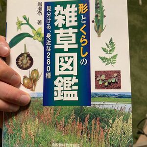 形とくらしの雑草図鑑　見分ける、身近な２８０種 （野外観察ハンドブック） 岩瀬徹／著