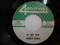 ★即決 Andrew Brown / If We Try - You Ought to be Ashamed