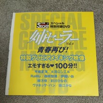 姉セーラーVol.4 DVD　平嶋夏海　火将ロシエル　Ramu　森咲智美　伊織いお　緒方咲　彩川ひなの　ヴァネッサ・パン　徳江かな　検索696_画像2