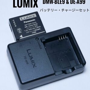 LUMIX 純正充電器 DE-A99 純正バッテリー DMW-BLE9 セット ルミックス Panasonic パナソニック