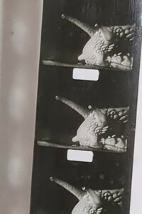 貴重資料　古いフィルム/ 9.５ミリ hunting the hippopotamus カバ狩り？　9.5mmフィルム　 　パテベビー　　