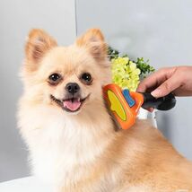 犬 ペットブラシ 中型犬 (M) 短毛用 抜け毛 トリミング ブラッシング トリマー トリミング　　ノーブランド品_画像2