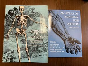 albinus on anatomy ＋ an atlas of anatomy for artists 洋書 図録 デッサン