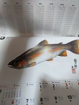 ダイワ　DAIWA　2024　魚拓カレンダー　令和6年　_画像4