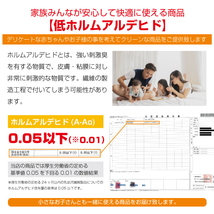 【セール中!2個セット送料無料】未使用 寝袋 シュラフ 冬用 マミー型 ダウン フェザー キャンプ アウトドア 連結 マット ad186-hu-ne-x2_画像10