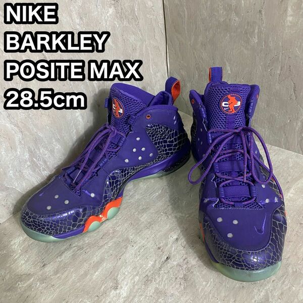 NIKE BARKLEY POSITE MAX　ナイキ NBA 28.5cm スニーカーサンズカラー　エアーマックス