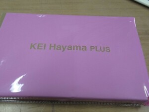 おしゃれ手帖　KEI Hayama　PLUS　ケイ　ハヤマ　プリュス　ビッグバック＆ポーチ　セット