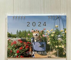 2024年 ☆ 卓上カレンダー 柴犬