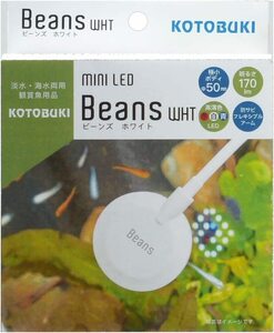 コトブキ 寿工芸　ミニLED ビーンズ　ホワイト　　　　　　送料全国一律　350円